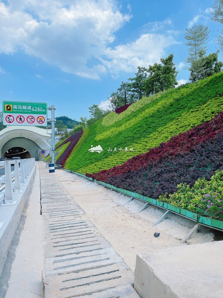 隧道护坡绿化，厦门海沧隧道垂直绿化景观