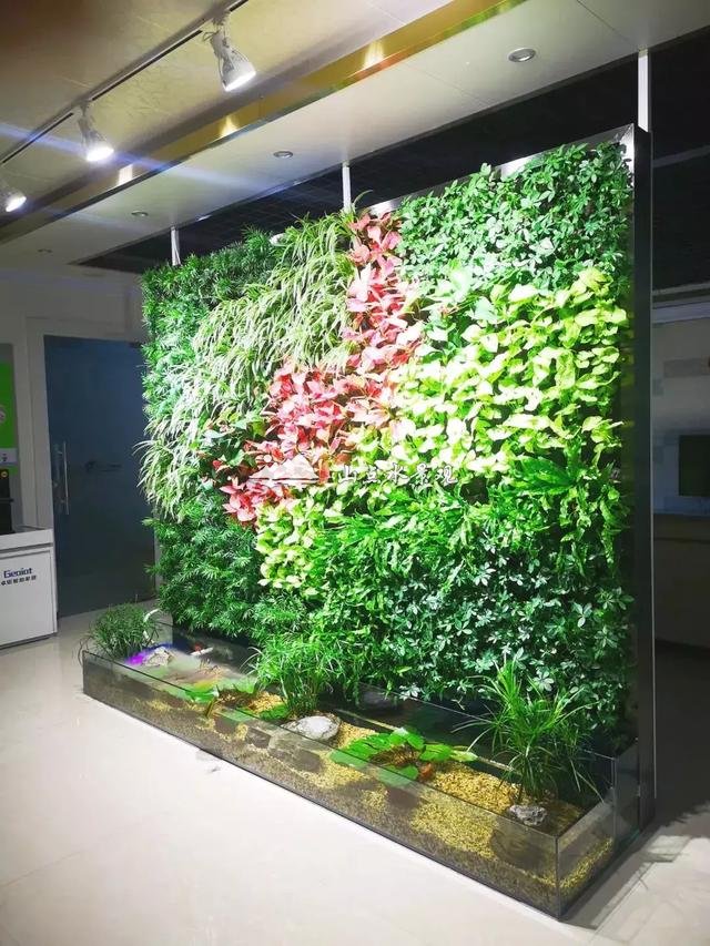 干货！分享鱼缸+植物墙的制作方法