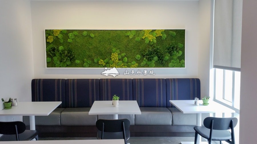 办公室植物墙，苔藓相框点靓休息室