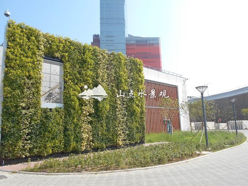商务办公区植物墙