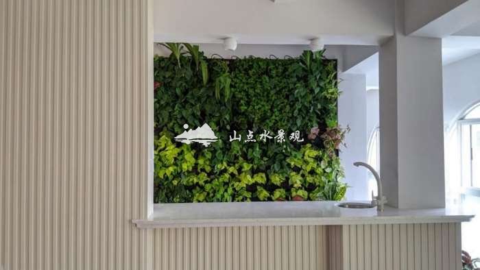 植物墙效果图