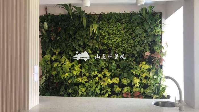 植物墙效果图