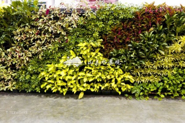 8月17日植物墙案例，商业室内垂直绿化景观
