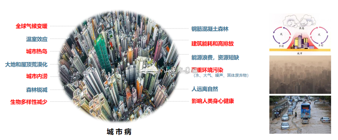 吴锦华：拓展城市竖向空间的绿化技术——立体绿化