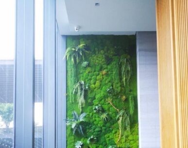 永生苔藓墙，室内苔藓植物墙景观