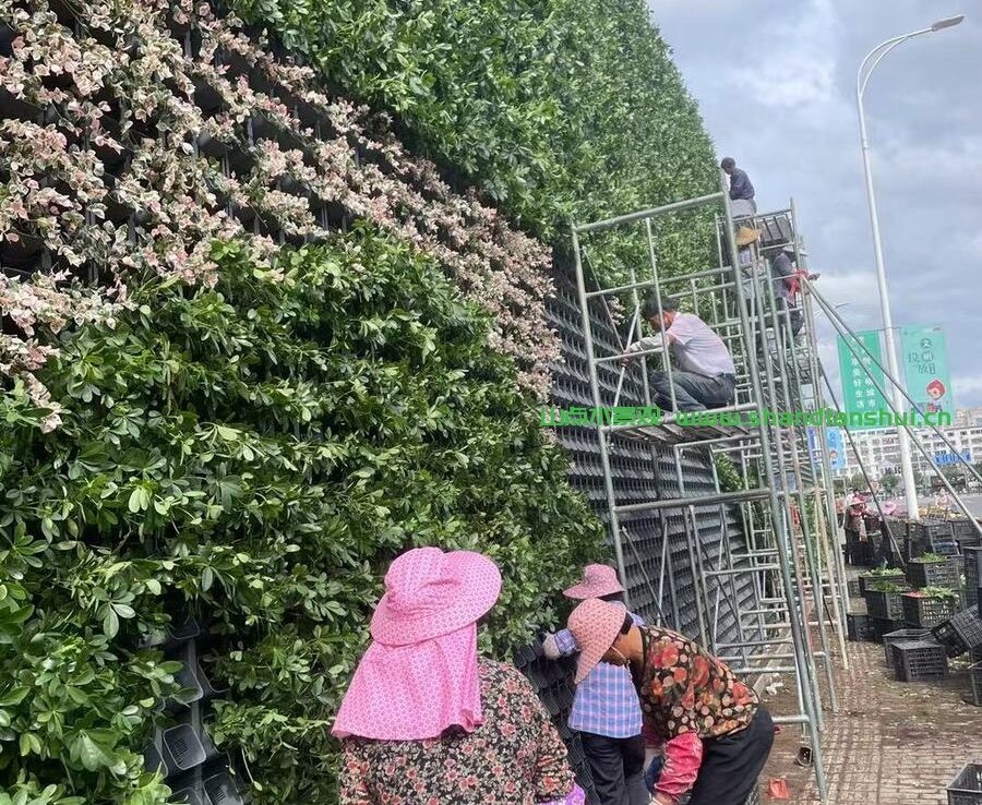 室外停车场植物墙，温岭老车站垂直绿化景观