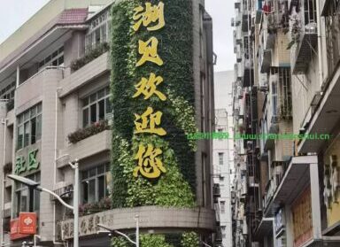 街道景观改造，旧小区建筑物外墙垂直绿化景观