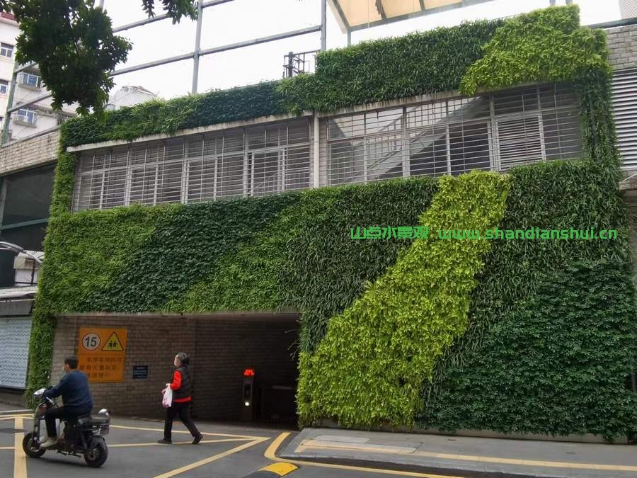 建筑物外墙垂直绿化