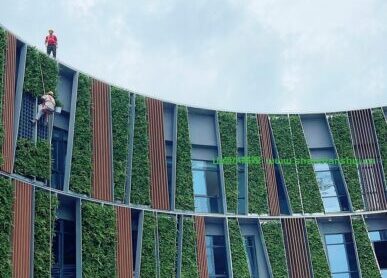建筑外墙绿化，海南金泰湾国际垂直绿化景观