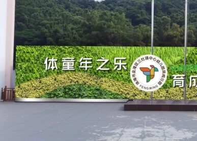 幼儿园绿植形象墙，珠海幼儿园广场垂直绿化景观