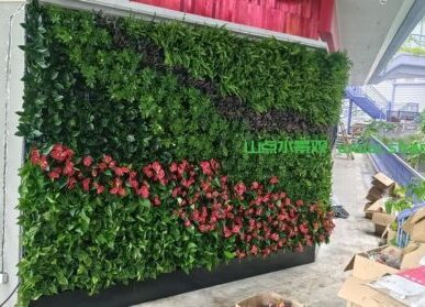拱形植物墙，建筑物垂直绿化景观