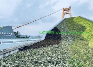 斜面绿化，伍家岗长江大桥地标垂直绿化景观