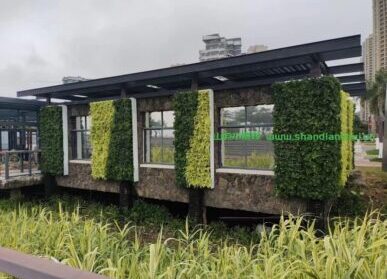 外墙垂直绿化，高新区金银湾植物体验馆植物墙