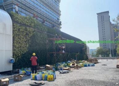 下沉植物墙，肇庆正大国正医院垂直绿化