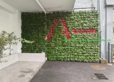 社区植物墙，退役军人服务中心垂直绿化