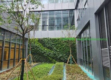 天井植物墙，泰康国际医学中心垂直绿化造景
